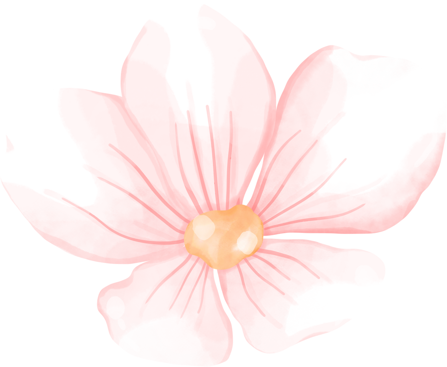 Illustrartion of Pink Flower